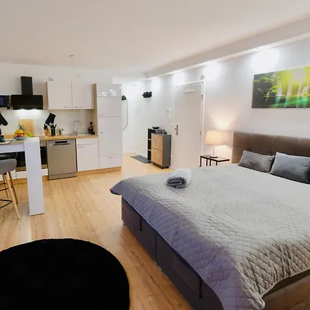 Apartment Voll Ausgestattes 1 Zi Apartment- Bahnhofsnah *