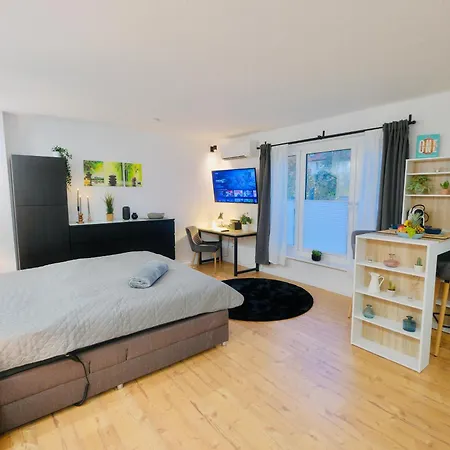 Voll Ausgestattes 1 Zi Apartment- Bahnhofsnah Apartment